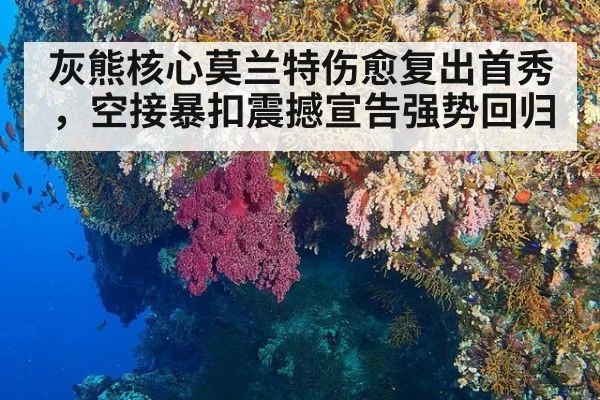 灰熊核心莫兰特伤愈复出首秀，空接暴扣震撼宣告强势回归